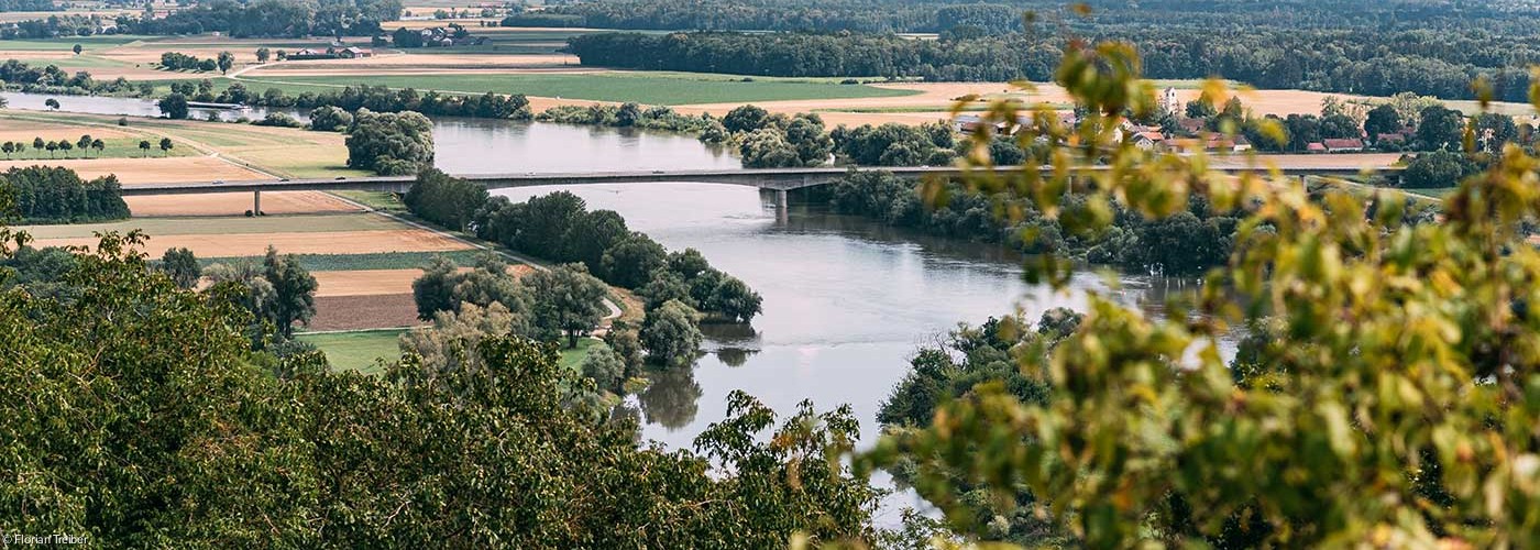 Donau bei Bogen
